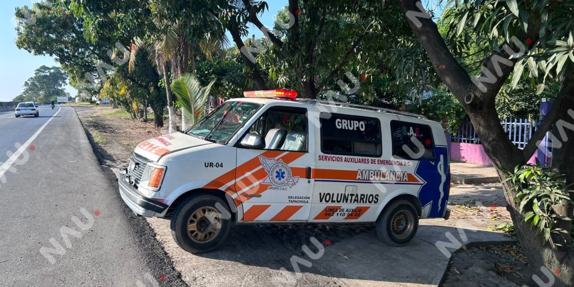 Menor sufre múltiples picaduras de abejas en el cantón Pacayalito, en Tapachula