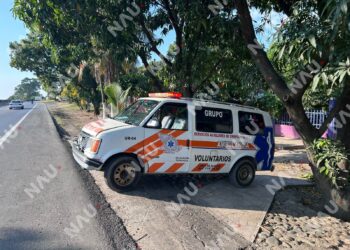 Menor sufre múltiples picaduras de abejas en el cantón Pacayalito, en Tapachula