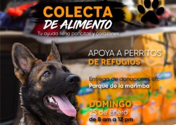 Unidad Canina de Búsqueda y Rescate invita a la colecta de alimento para perritos de refugios