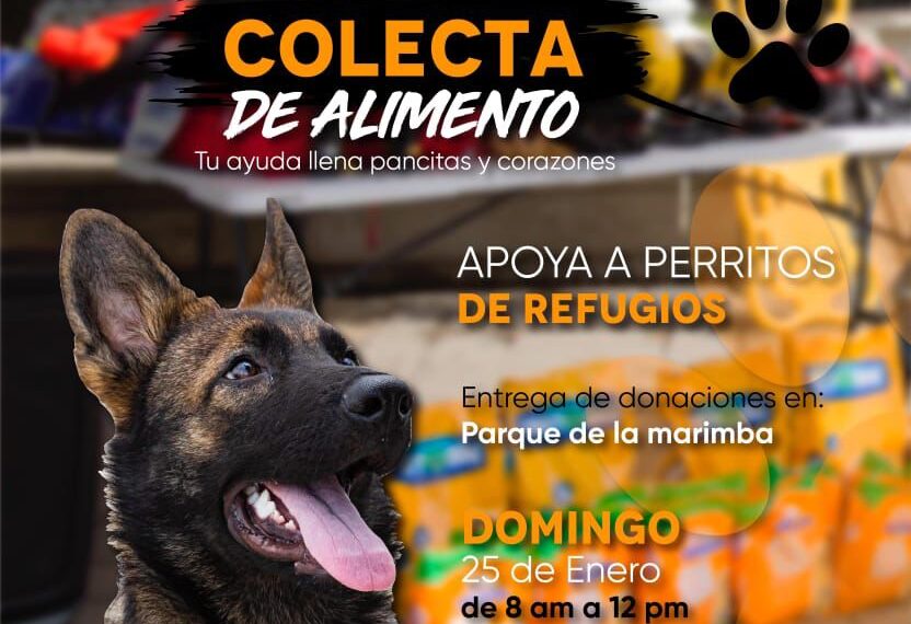 Unidad Canina de Búsqueda y Rescate invita a la colecta de alimento para perritos de refugios