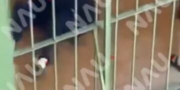 Padres de familia denuncian presuntas irregularidades en secundaria federal del Soconusco