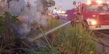 Incendio de pastizal moviliza a cuerpos de emergencia en el Libramiento Sur de Tapachula