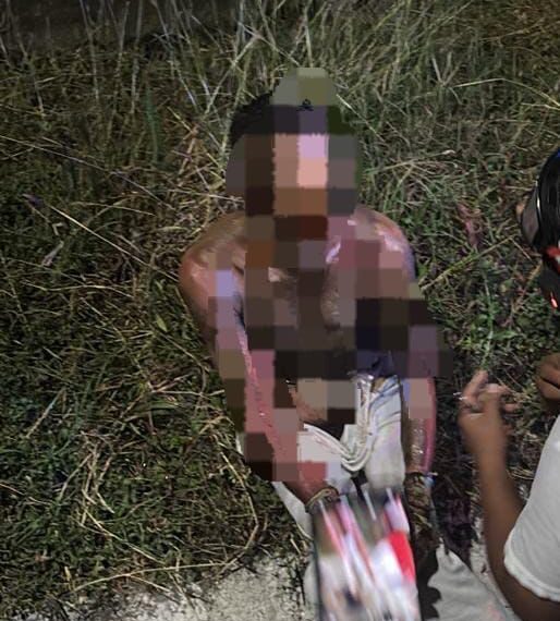 Borrador automático