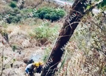 Hallan sin vida a joven tras salir de la carretera en Ocozocoautla