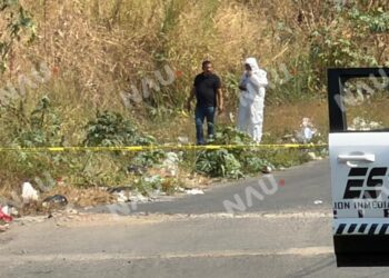 Borrador automático