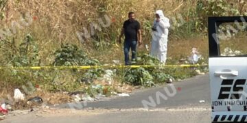 Borrador automático