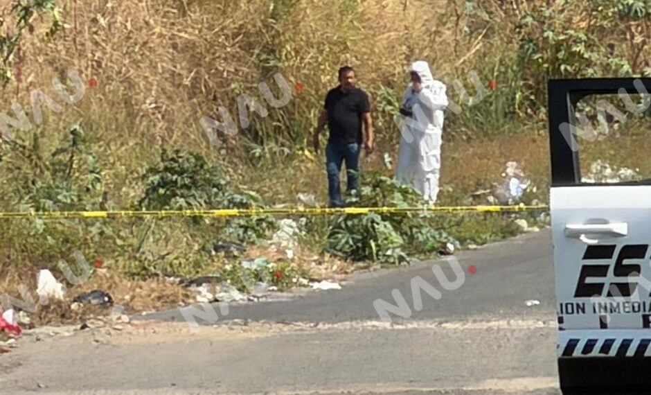 Borrador automático