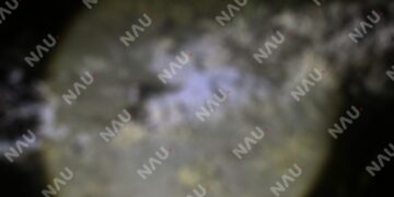 Localizan restos humanos semienterrados en un predio de Suchiate