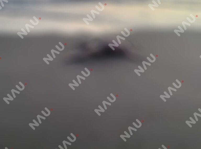 Localizan cuerpo en avanzado estado de descomposición en playas de Suchiate