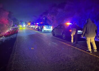 Localizan restos humanos en la ruta Comitán–Tzimol; víctima contaba con ficha de búsqueda