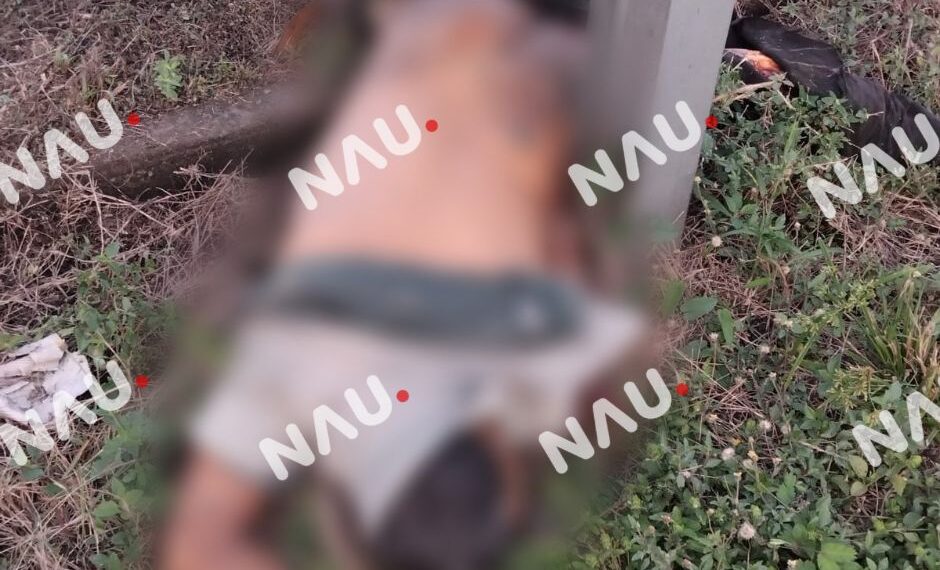 Localizan a persona sin vida por atropellamiento en Tuzantán