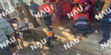 Niña de 8 años resulta lesionada tras ataque de perro en la colonia Palmeiras