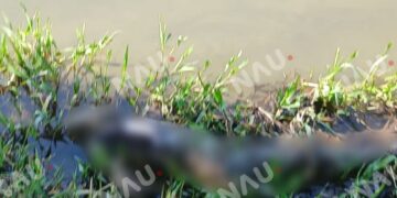 LOCALIZAN CUERPO EN ESTADO DE DESCOMPOSICIÓN A ORILLAS DEL RÍO SUCHIATE