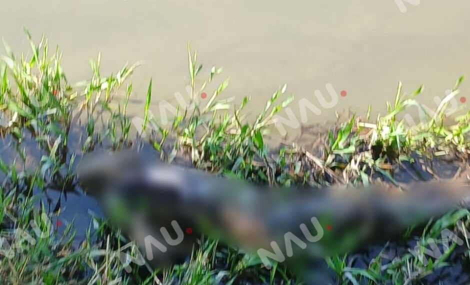 LOCALIZAN CUERPO EN ESTADO DE DESCOMPOSICIÓN A ORILLAS DEL RÍO SUCHIATE