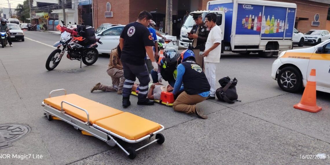 Borrador automático