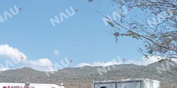 Borrador automático