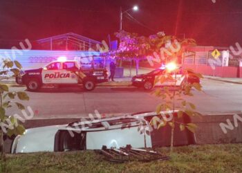 Borrador automático