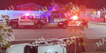 Borrador automático