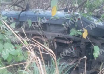 Borrador automático