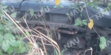 Borrador automático