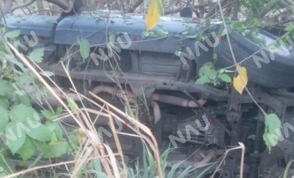 Borrador automático