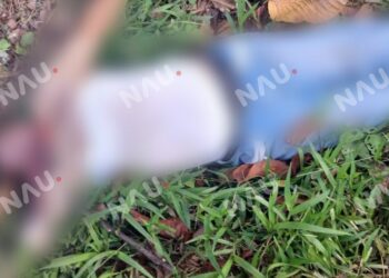 Hallan a hombre sin vida a un costado de la carretera Huixtla–Villa Comaltitlán