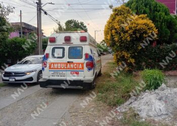 Mapache ataca a mujer cuando alimentaba a su mascota en Tapachula