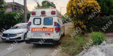 Mapache ataca a mujer cuando alimentaba a su mascota en Tapachula