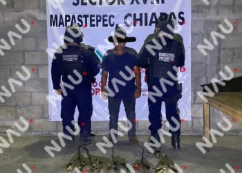 DETIENEN A SUJETO CON IGUANAS EN MAPASTEPEC