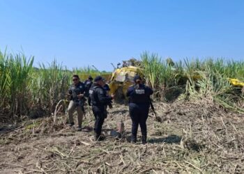 Avioneta se desploma en zona cañera de Acapetahua
