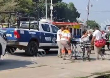 Borrador automático