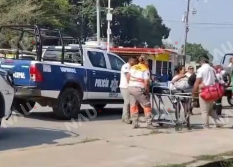 Borrador automático