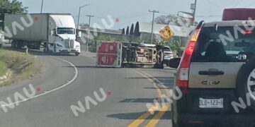 Borrador automático