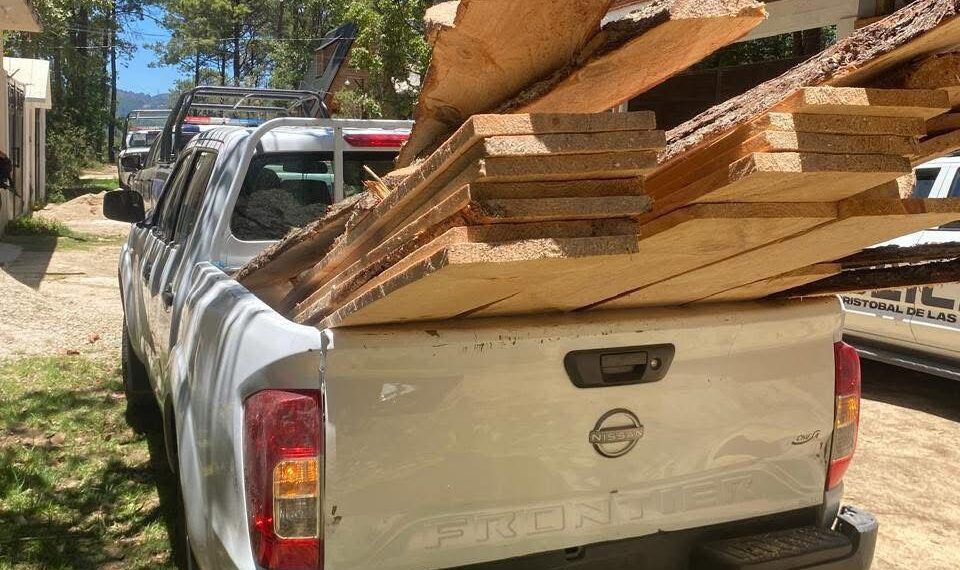 Refuerzan acciones contra tala ilegal en San Cristóbal; decomisan madera en zona de conservación