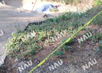 Motociclista pierde la vida tras accidente en tramo carretero Valdivia–Mapastepec