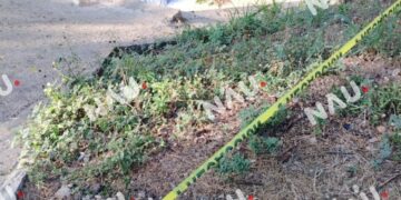 Motociclista pierde la vida tras accidente en tramo carretero Valdivia–Mapastepec