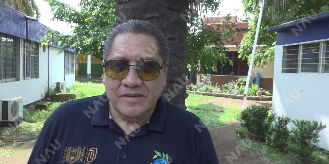 Cambio climático atrae nuevas especies marinas a las costas de Chiapas
