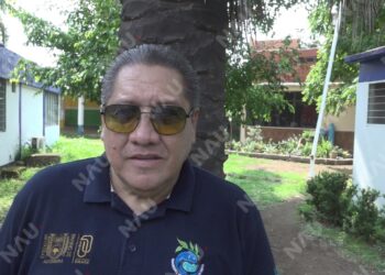Cambio climático atrae nuevas especies marinas a las costas de Chiapas