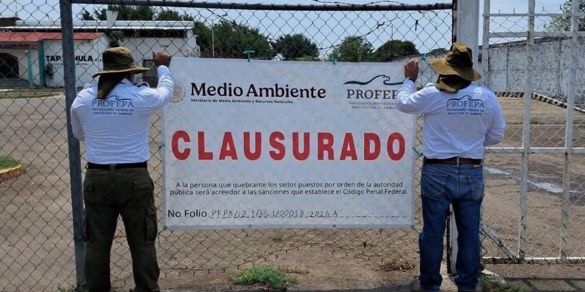 Reconocen clausura de PROFEPA al Rastro de Tapachula