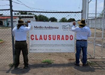 Reconocen clausura de PROFEPA al Rastro de Tapachula