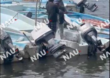 Promedian pesca de crustáceos a la baja en Chiapas