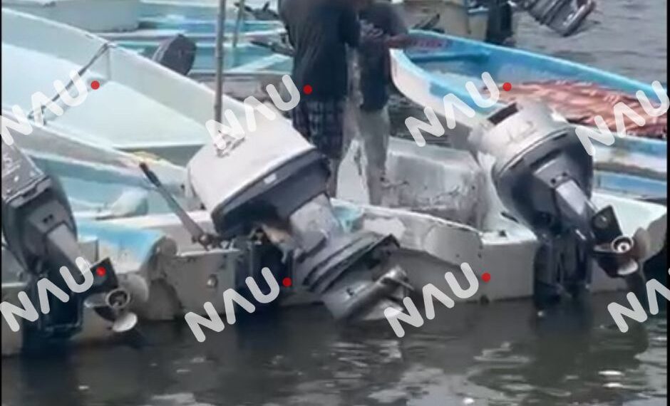 Promedian pesca de crustáceos a la baja en Chiapas