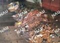 Peligran colonias por inconciencia de la gente al tirar basura en la calle.