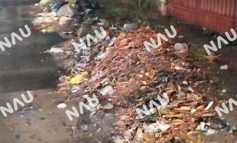 Peligran colonias por inconciencia de la gente al tirar basura en la calle.
