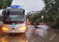 Árbol cae sobre autobús durante fuerte lluvia en Tapachula; no hubo lesionados