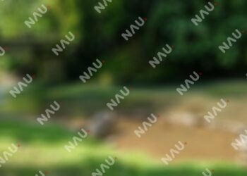 Localizan cuerpo envuelto en una lona debajo de puente en Tapachula