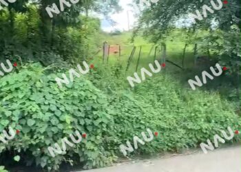 Investigan hallazgo de mujer sin vida en un pozo de Tapachula; no descartan feminicidio