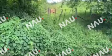 Investigan hallazgo de mujer sin vida en un pozo de Tapachula; no descartan feminicidio