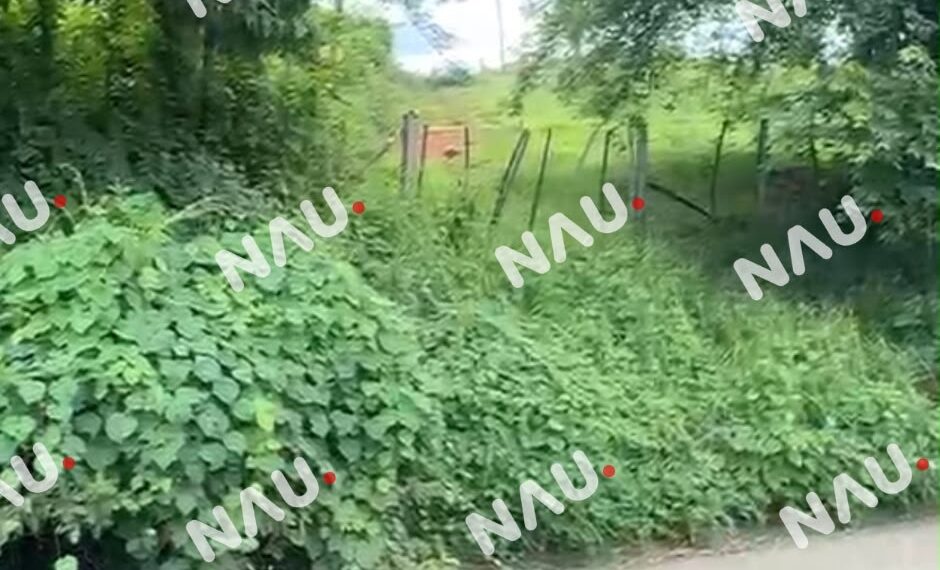 Investigan hallazgo de mujer sin vida en un pozo de Tapachula; no descartan feminicidio