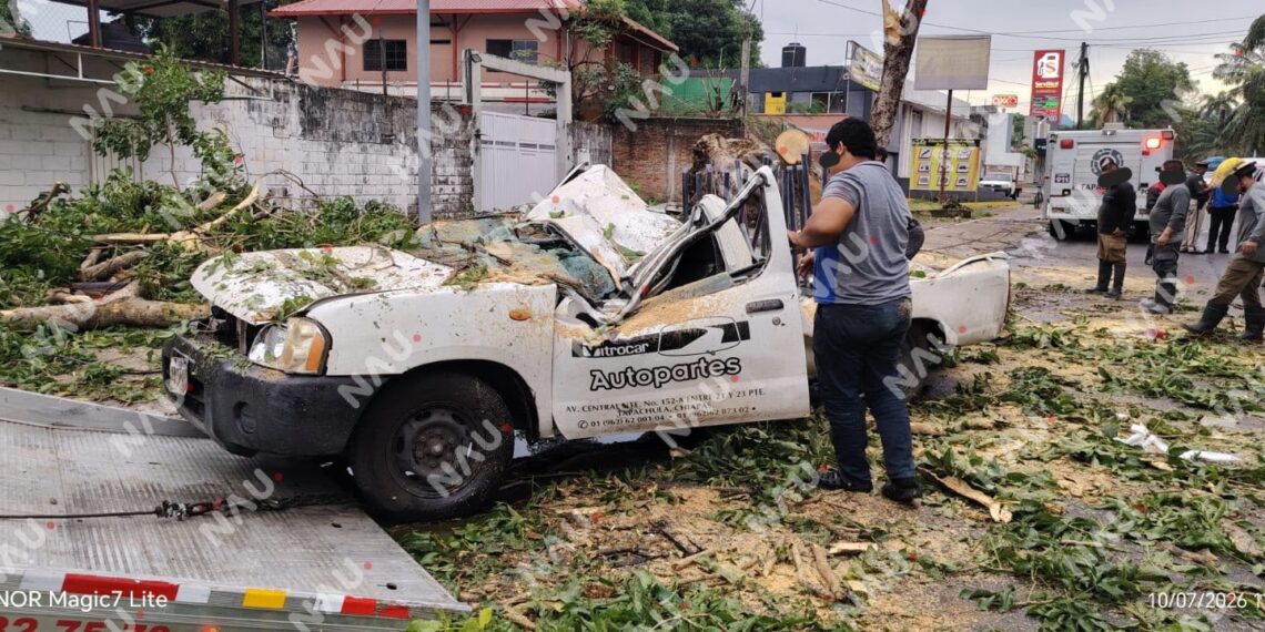 Árbol colapsa sobre camioneta durante fuerte lluvia en Tapachula; conductor sobrevive de milagro